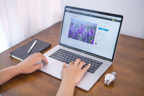 营销型网站建设的关键要点与软件应用指南