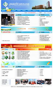 网站建设 从规划到落地的全方位指南