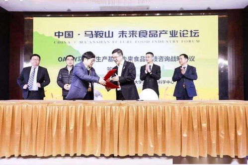 燕麦奶破圈记 从中国工厂落地看Oatly如何构建未来食品新样板