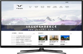 上海品划网络 专业松江网站建设与移动应用服务