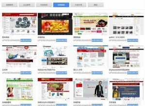 大泉州地区网站建设与网店开设 5000+成功案例，助力企业数字化升级